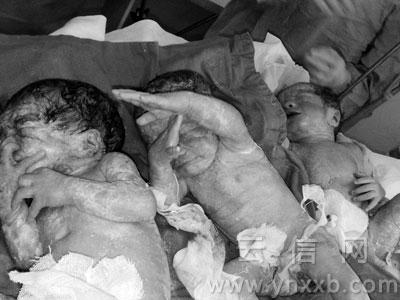 187289950_... 人_广州惊现猪人_发现猪人_猪脸人_收猪人用电棍图片