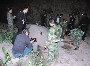 大象 抢媳妇 遭领头公象攻击跌下80米深箐昏迷