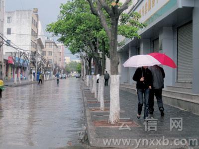 干渴半年 喜迎春雨