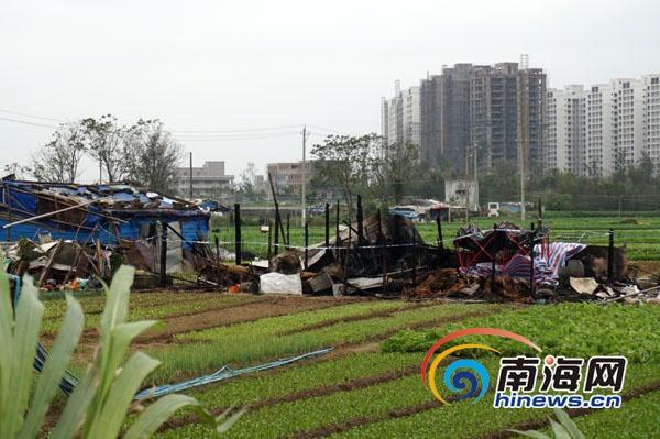 海口龙塘镇一菜地窝棚起火 两<em>兄妹</em>被大火吞噬