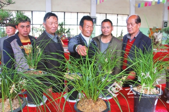 /enpproperty--> 鹤庆兰花全国知名 大理鹤庆 去名兰之乡赏五朵金花 春节黄金周期间,大理鹤庆举办了中国鹤庆第九届兰文化旅游节暨盆景收藏品展。 鹤庆立体气候明显,非常适合兰花生长,种植兰花已有1100多年历史,是全国知名名兰之乡。传统名品兰花有领带花、剑阳蝶、奇花素、苍山奇蝶、包草等五朵金花及大雪素等。本届兰文化旅游节成交兰花数万苗、3000多盆,成交金额达600多万元。 水目山塔林 大理祥云 到水目山看寺抱塔奇观 春节黄金周期间,大理祥云水目山景区接待游客10万