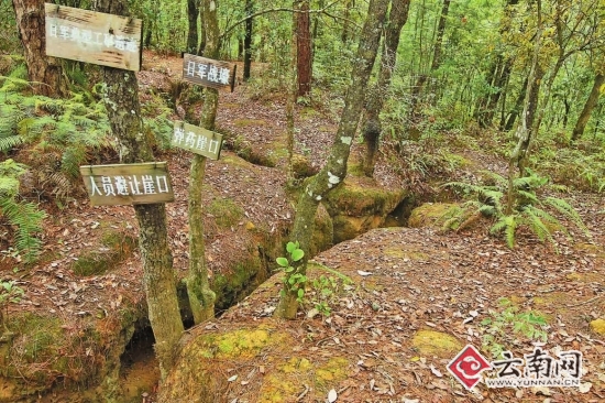 [云南抗战]焦土松山 浴血重生