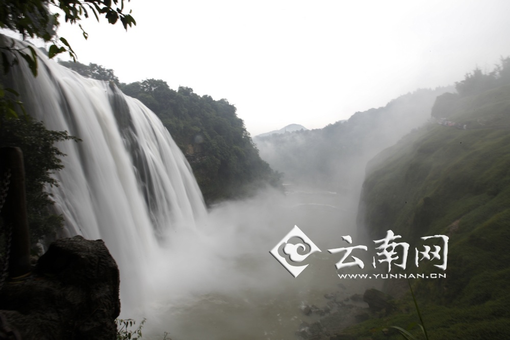 黄果树经济总量_黄果树瀑布图片
