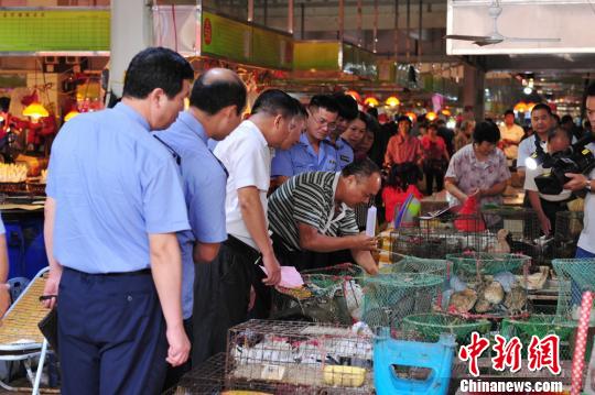 广东茂名严打非法贩卖捕杀野生动物保护候鸟南迁