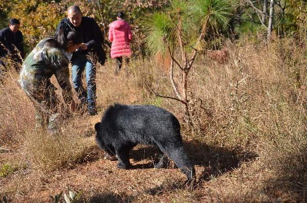 寻蛋大会从圣诞开始 每天10000枚蛋等你来找