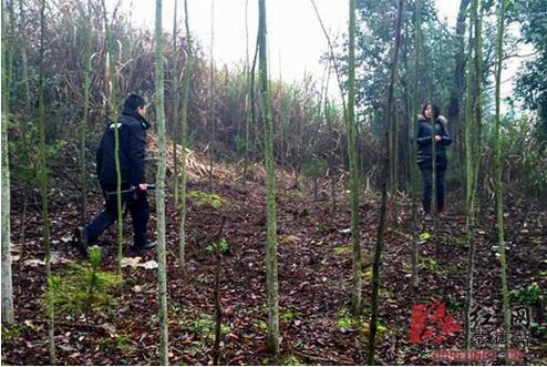  疯狗伤人被击毙  咬伤5名群众近20只鸡鸭_云南