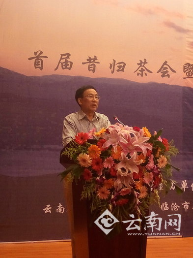  首届昔归茶会暨云南省茶叶流通协会双月活动在临沧举行