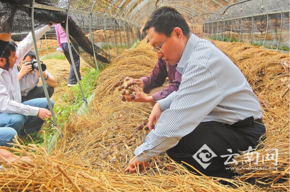 晋宁县二街镇人口_中国晋宁(3)