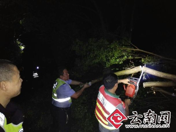  暴风雨突袭刮倒高速路旁大树 云南玉溪高速交警奋战5小时除隐患