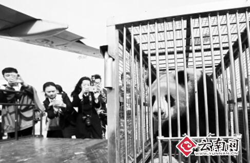  来滇第一餐地道云南菜 囡囡吃得嗨 和兴胃口差