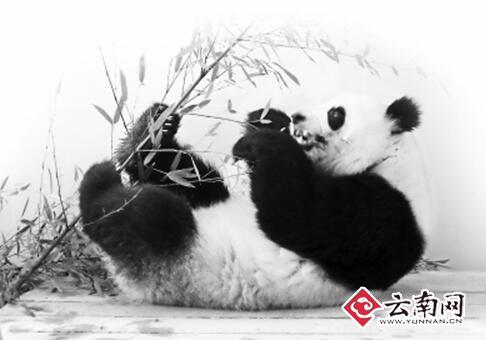  来滇第一餐地道云南菜 囡囡吃得嗨 和兴胃口差