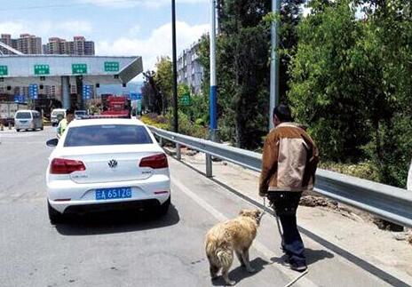  五旬汉酒后上高速路遛狗 导致大量车辆滞留