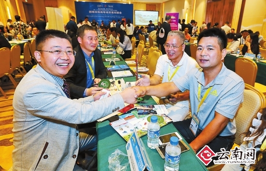  南博会组图：相知结缘