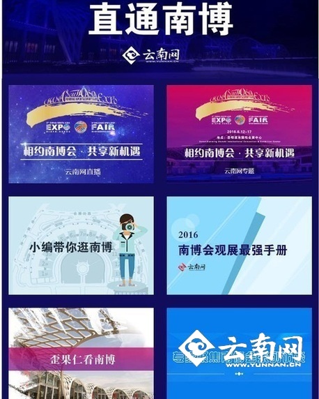  首次多语种立体化全景式报道 云南网第四届南博会报道惊艳收官