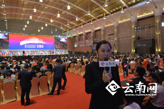  首次多语种立体化全景式报道 云南网第四届南博会报道惊艳收官