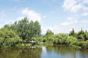  央视开评中国最美湿地 环滇池湿地得票暂列第一