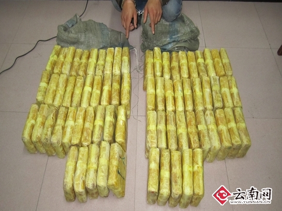  云南普洱边防2016上半年缴毒超半吨