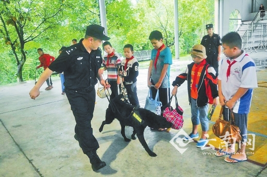  瑞丽举行海关缉毒犬开放日活动