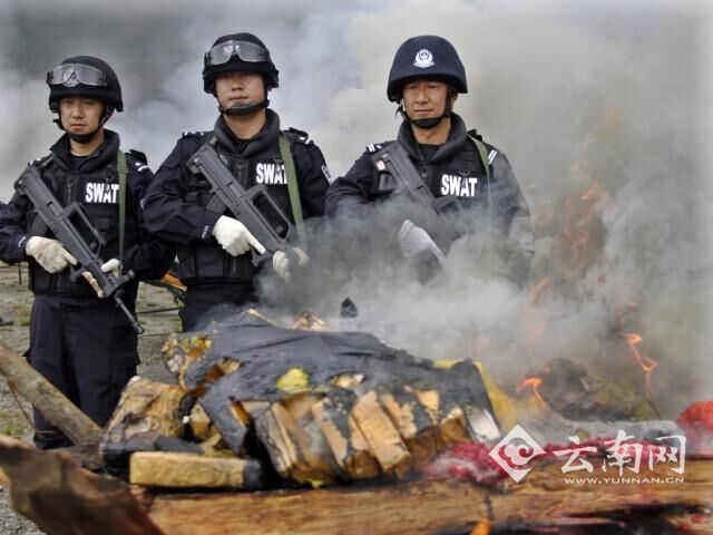  大理州第三轮禁毒人民战争取得显著成效