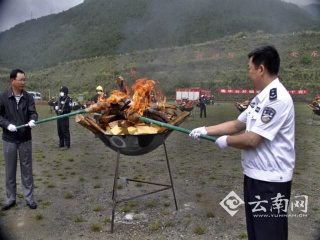  大理州第三轮禁毒人民战争取得显著成效