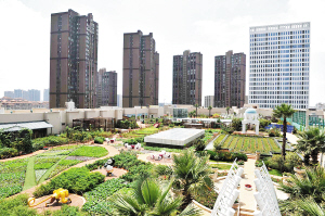  昆明“天空农场”受市民热捧
