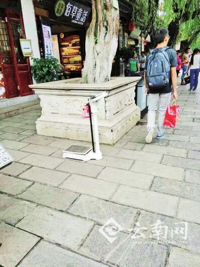  昆明翠湖公园大爷摆称重器假装免费 一站上去他就来收钱