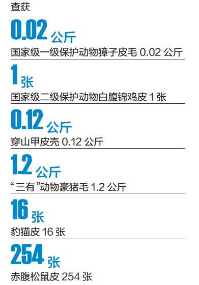  云南普洱警方捣毁收购出售野生动物制品窝点