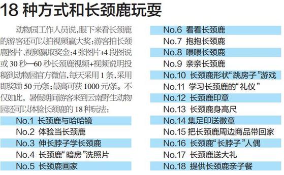  云南野生动物园23头长颈鹿28日正式与游客见面