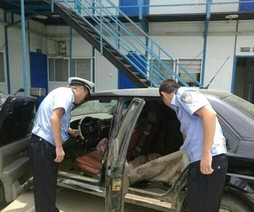  昆明套牌车成了“油耗子” 民警在小区旁边“捡”到作案工具