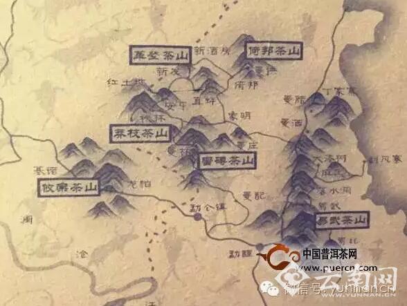  9日云南文博会六大茶山普洱茶拍卖专场邀你探秘古树茶韵