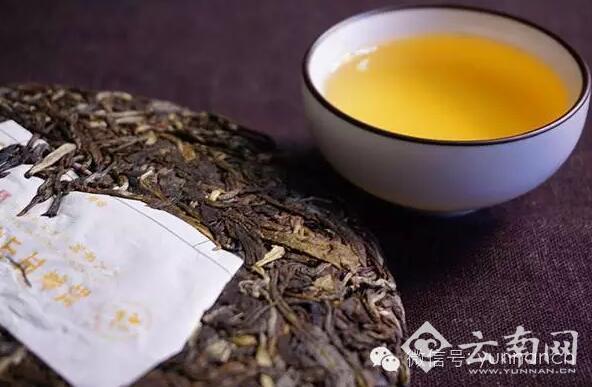  9日云南文博会六大茶山普洱茶拍卖专场邀你探秘古树茶韵