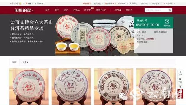  9日云南文博会六大茶山普洱茶拍卖专场邀你探秘古树茶韵