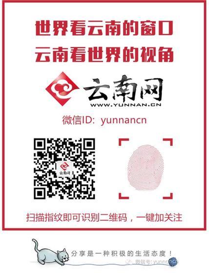  9日云南文博会六大茶山普洱茶拍卖专场邀你探秘古树茶韵