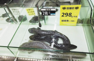  昆明沃尔玛超市卖娃娃鱼 负责人：人工养殖 有标识