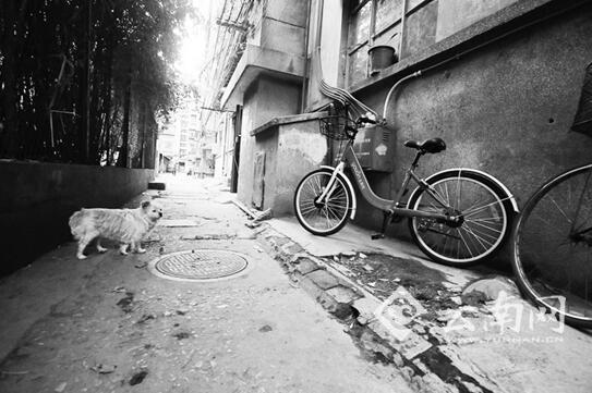 随意停放致找车难 昆明市民呼吁使用有桩共享