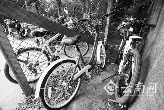 随意停放导致找车难 市民呼吁使用有桩共享单车