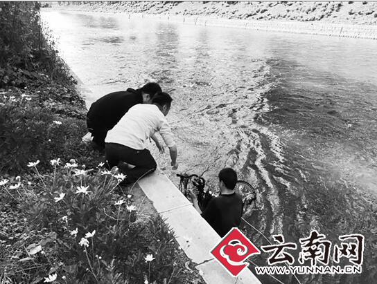 昆明共享单车有3难 收车维修和投放