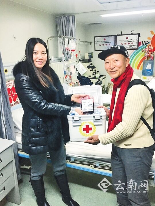 楚雄志愿者捐献造血干细胞救助病患