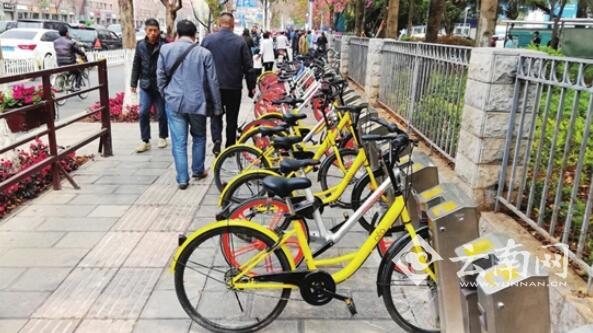 昆明共享单车占了公共单车 窝