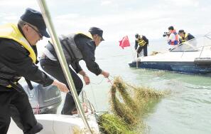 1月至5月滇池清出违禁渔具6万多个 草排遍布水域