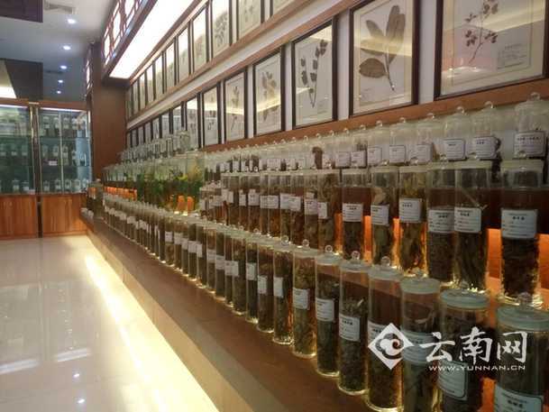 【活力桂东南 网媒广西行】你造吗?在“药