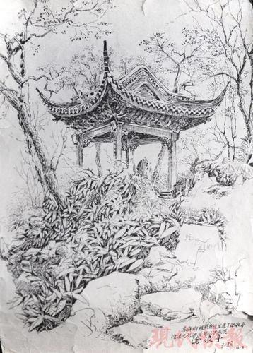 钢笔手绘江南苏州园林