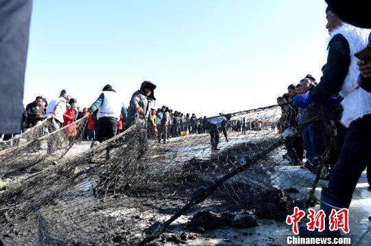 内蒙古牧羊海冬捕再现北方渔猎盛景（图）