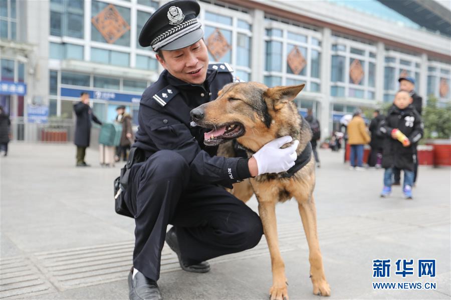 （新春走基层）（7）警犬“龙牙”的大年初一