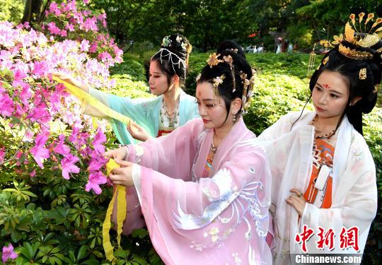福建汉服少女将写有对春日祝福的彩带系在百花枝头。　记者刘可耕 摄