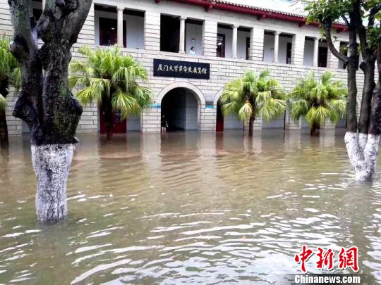 厦门豪雨倾泻多处淹成一片汪洋（图）