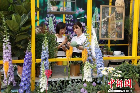 走近世园花卉第六届北京花木春季花展开幕
