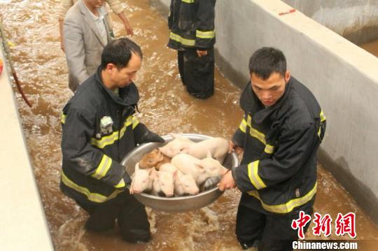 云南宣威市遭暴雨袭城消防紧急出动营救