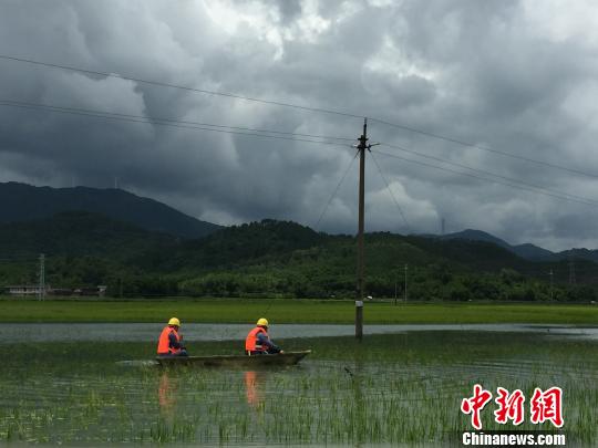 台风携暴雨狂灌广东电力部门全力保电