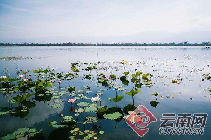 首页 云南 保山 隆阳区 ?青华海东湖 ?